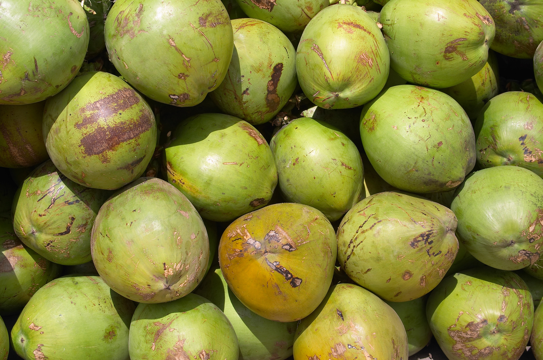 Coconuts (coconut water)